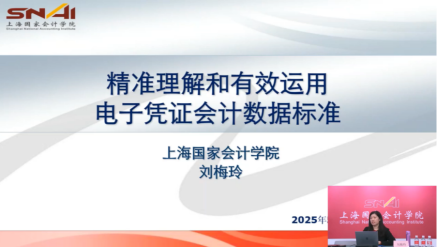 精准理解和有效运用电子凭证会计数据标准